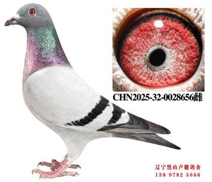 3.总教头宇航197名X彪行天下37名