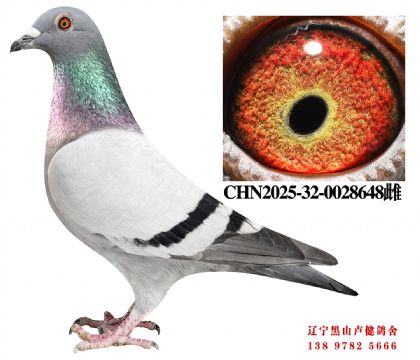 4.总教头金鑫福86名X总教头畅翔78名