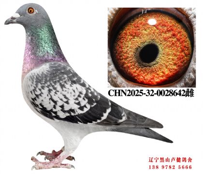 5.总教头58名直子X总教头奔驰小姐直孙女