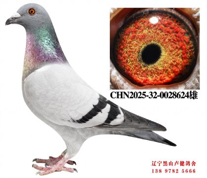 7.总教头奔驰小姐孙X总教头58名直女