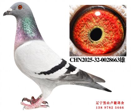 9.ܽͷ58ֱXܽͷСֱŮ