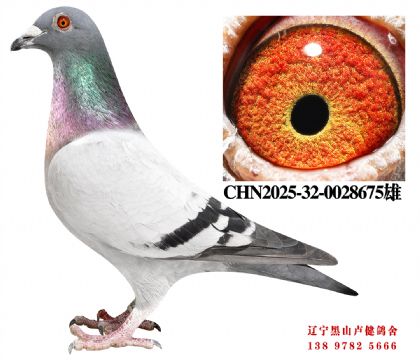 10.总教头金母618直子X总教头58名直女