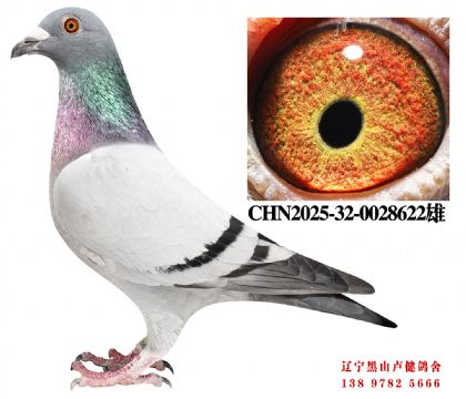 11.博翔34名平辈.总教头开尔386名X宇航12名.