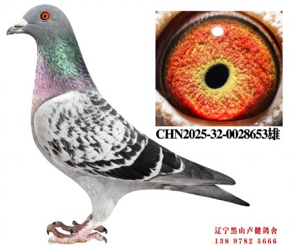 12.总教头十二万号直子X东方不败