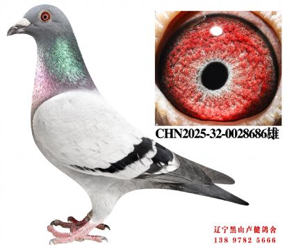 15.总教头直孙X天野41名