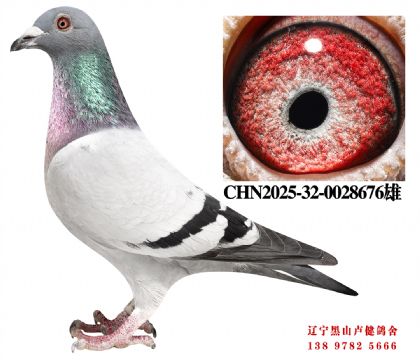 24.总教头金母618直子X总教头58名直女