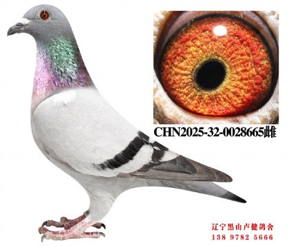 30.ܽͷͨǾXܽͷʮŮ