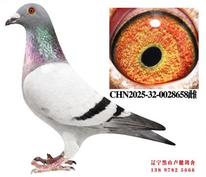 31.ܽͷʮֱXܽͷ˳ھƽ