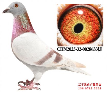 35.ܽͷ48Xܽͷĸ618ֱŮ