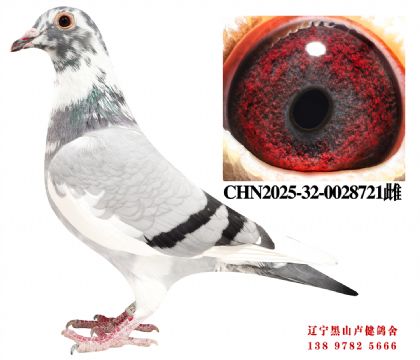 36.ܽͷ˳ھֱXܽͷҵ45