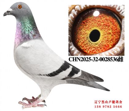 44.ܽͷĸ618ֱXܽͷĹֱŮ