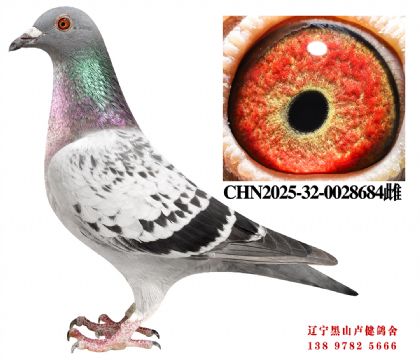 56.总教头津福58名直孙X彪行141名