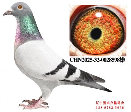 64.总教头金母618直子X总教头四冠王直女