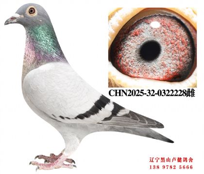 68.总教头金鑫福86名X总教头畅翔78名