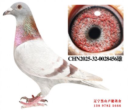 70.总教头宇航27名X总教头丰羽28名