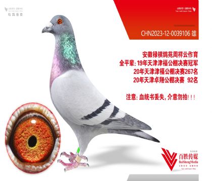 »Է 򸣹ھƽ-0039106