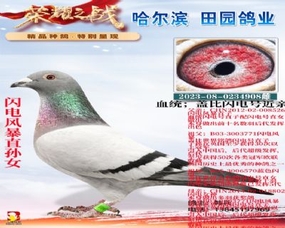 W(lin)WL(fng)ֱOŮ