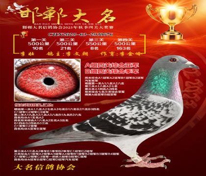 四關(guān)鴿王A組亞軍