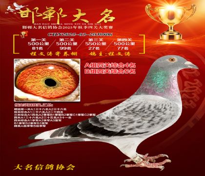 四關(guān)鴿王A組4名