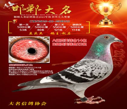 四關(guān)鴿王A組14名