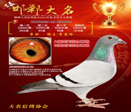 四關(guān)鴿王A組22名