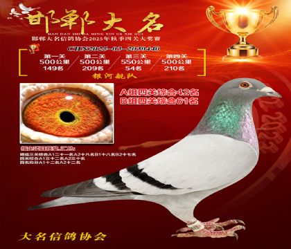 四關(guān)鴿王A組42名