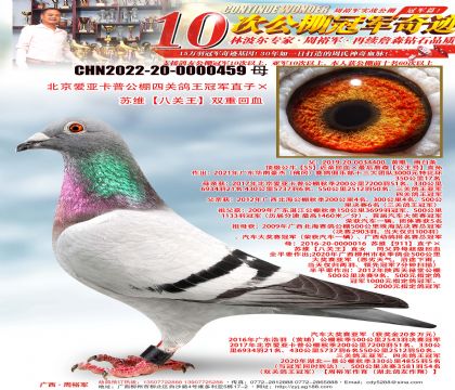 ǿչĹظھֱӡά˹˫ػѪ