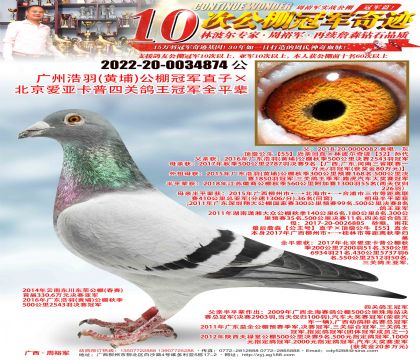 ݺ𣨻ңھֱӡǿĹظھȫƽ