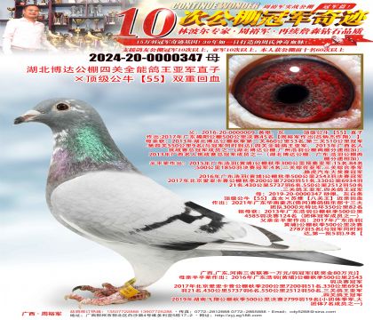 ﹫ĹȫܸǾֱӡţ55˫ػѪ