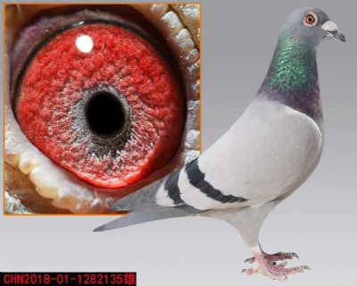 W߿رȭh(hun)Cρ܊֮ӴҲڱ