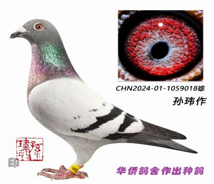 10--ղɭϵ018 ֱϵ: ʯׯԹ500KǾ