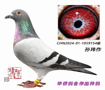 9--ղɭϵ154 ֱϵرȻ500Kھ