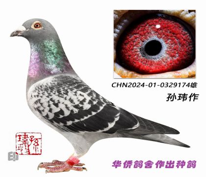 7--ղɭ019ϵػѪָ0329174