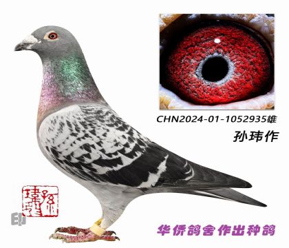 5--ղɭϵ935- ֱϵ۹500K22