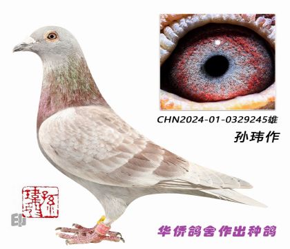 4--ղɭ019ϵ245 ֱϵرȻ4ش600K63