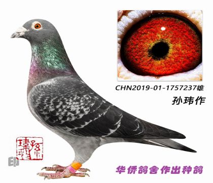 2--ղɭ019ָ֮1757237