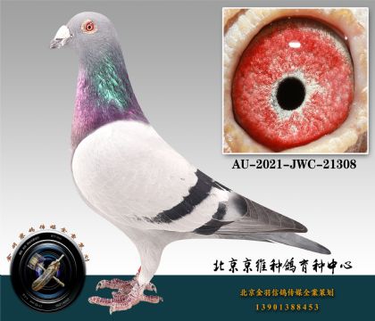 177-AU-2021-JWC-21308