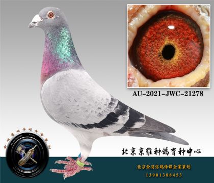 178-AU-2021-JWC-21278