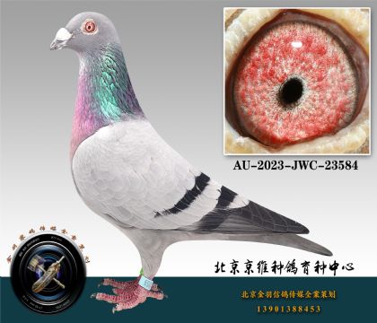 184-AU-2023-JWC-23584