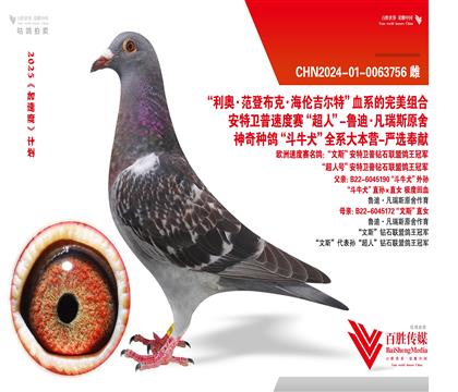 “基特爾 紅箭 博爾特”-0063756