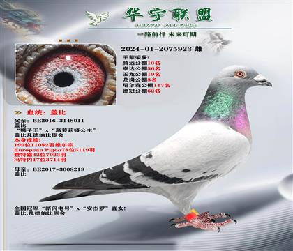  wȪ{ֱX(ju)wW̖(ho) (qing)䌦(du)