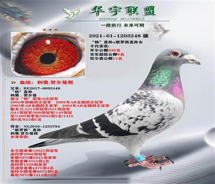 (j)N WֱOX_(d)۴ֱOŮ