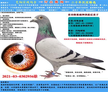 A(ch)NʯɣʿW늋Xӡ