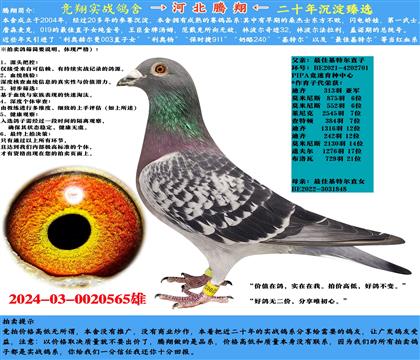 ]ѻؠֱXѻؠֱŮ