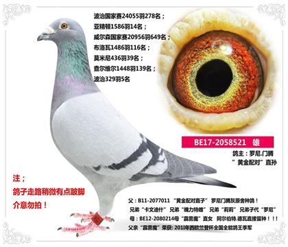 _.Tv--S䌦(du)ֱO  521   