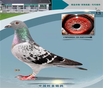 ղɭt659Xղɭ766ֱŮ765