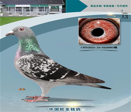 ٰ241X190ֱ8888XֱŮ7768ĸ