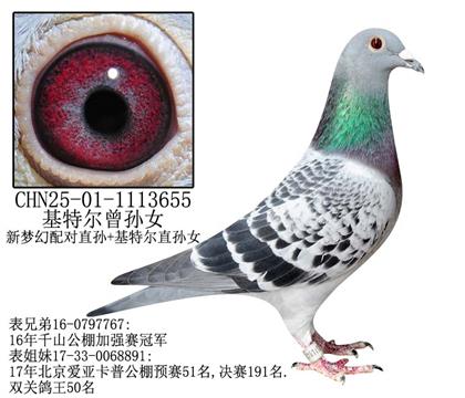 基特尔曾孙女-7