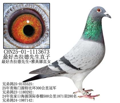 最好杰拉德先生直子-10