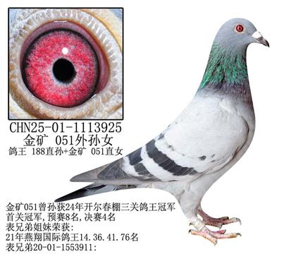 凡登布克金矿 051外孙女-20